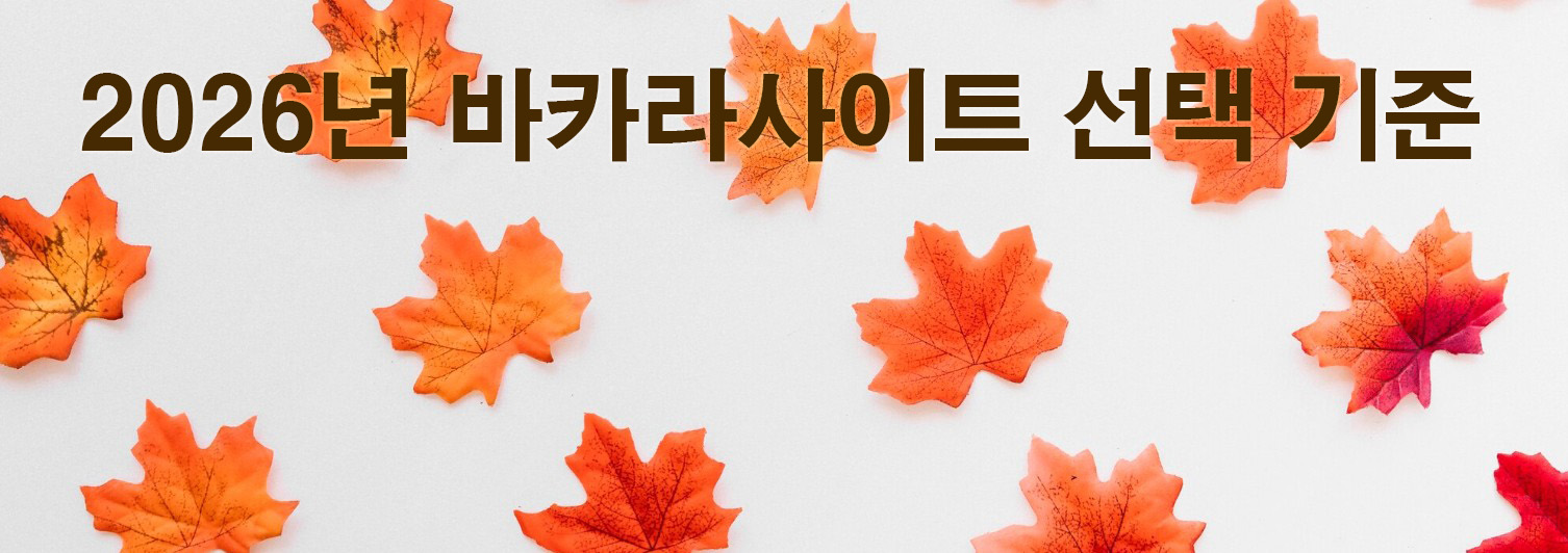 2026년 바카라사이트를 판단하는 기준