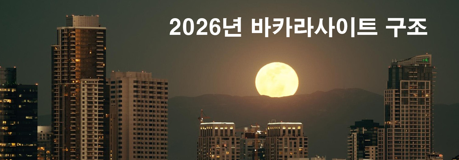 2026년 바카라사이트 문구 구조 비교 이미지